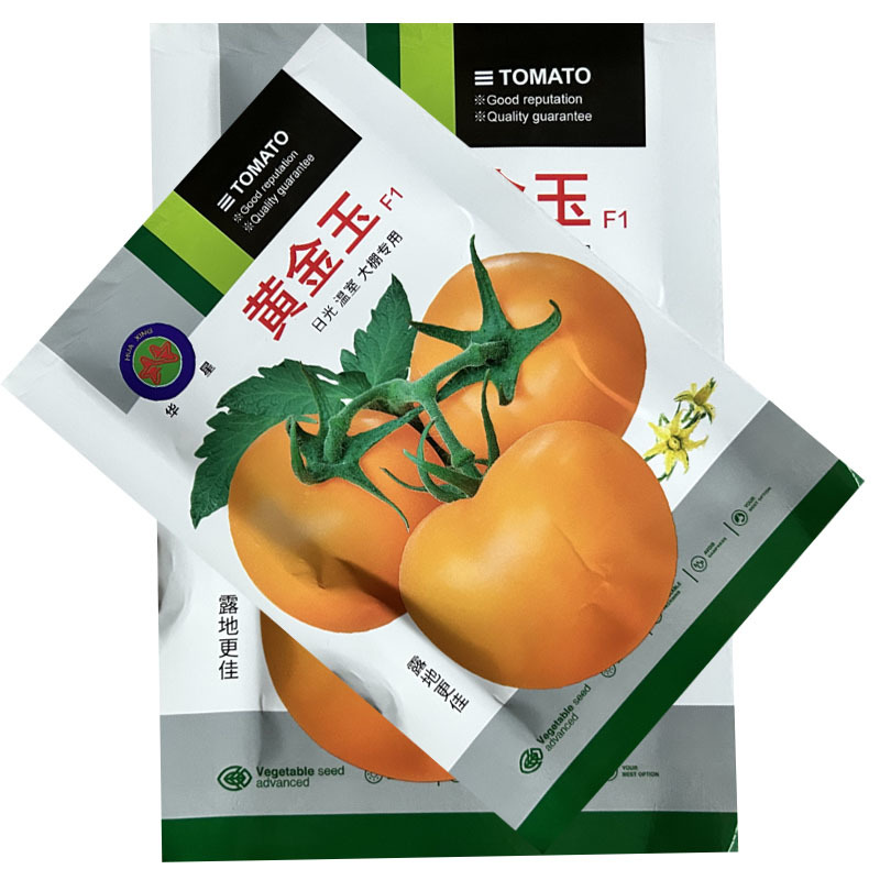 大果黄番茄黄金玉番茄种子早熟抗病香甜产量高基地品种