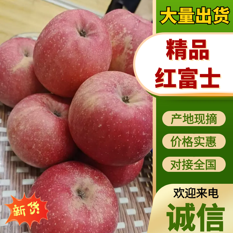 咸阳红富士，精品红富士，现货速发，保质保量欢迎老板选购