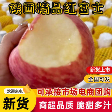 咸阳红富士，精品红富士，现货速发，保质保量欢迎老板选购