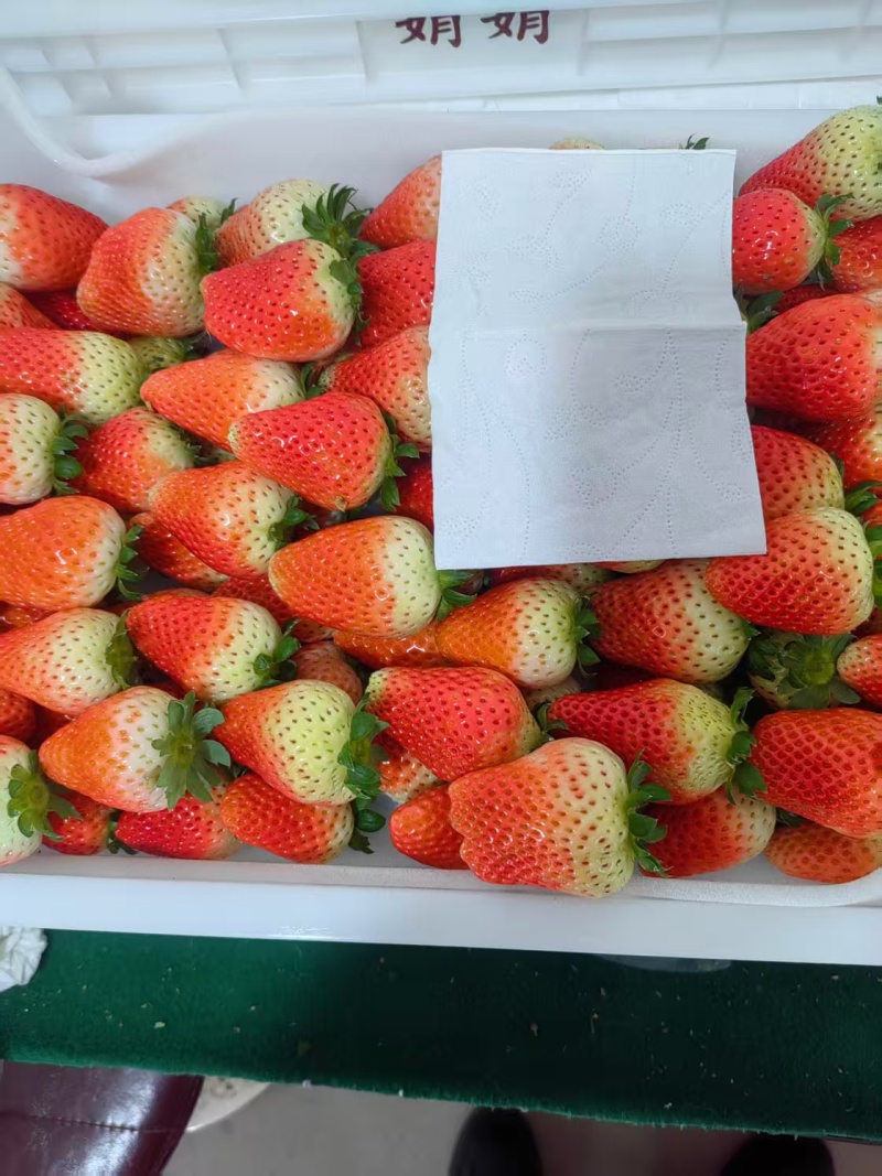 【口感好】阜阳市颍泉区闻集天仙醉草莓基地承接餐饮蛋糕房