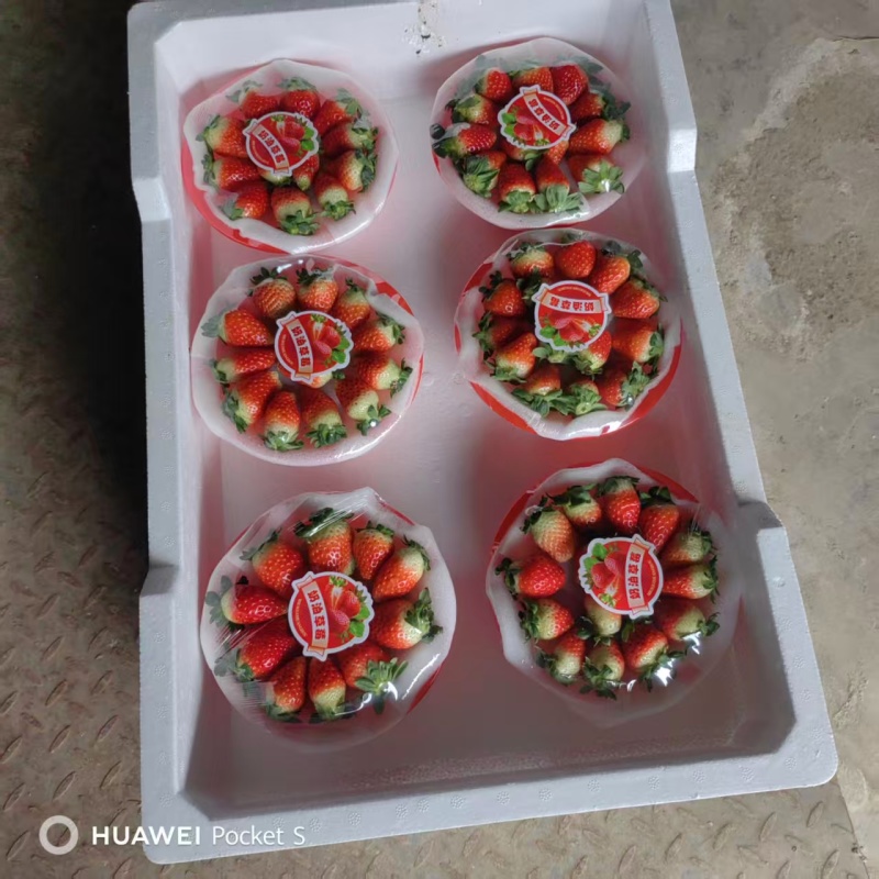 【接电商】阜阳市颍泉区闻集天仙醉草莓基地有泡沫箱纸箱托盘