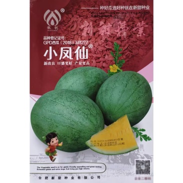 新甜小凤仙西瓜种子改良黄瓤小西瓜早熟绿核桃皮黄肉西瓜种子