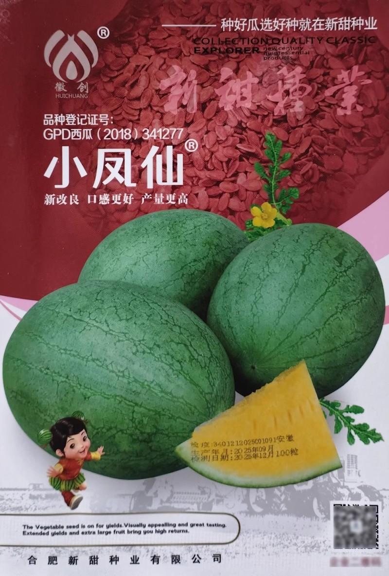 新甜小凤仙西瓜种子改良黄瓤小西瓜早熟绿核桃皮黄肉西瓜种子