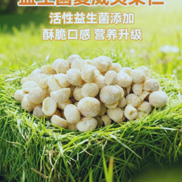 夏威夷果仁奶香味（益生菌）大颗粒电商高货