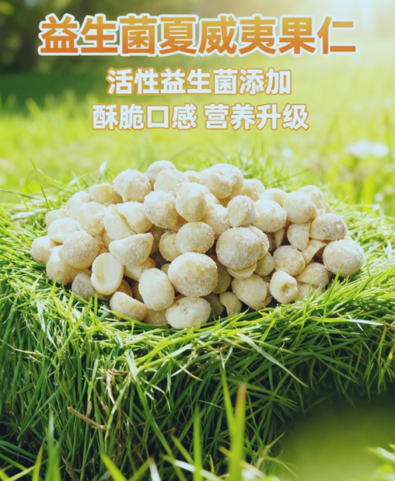夏威夷果仁奶香味（益生菌）大颗粒电商高货