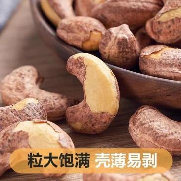 带皮腰果320大颗粒原味盐焗紫皮新货坚果电商好货