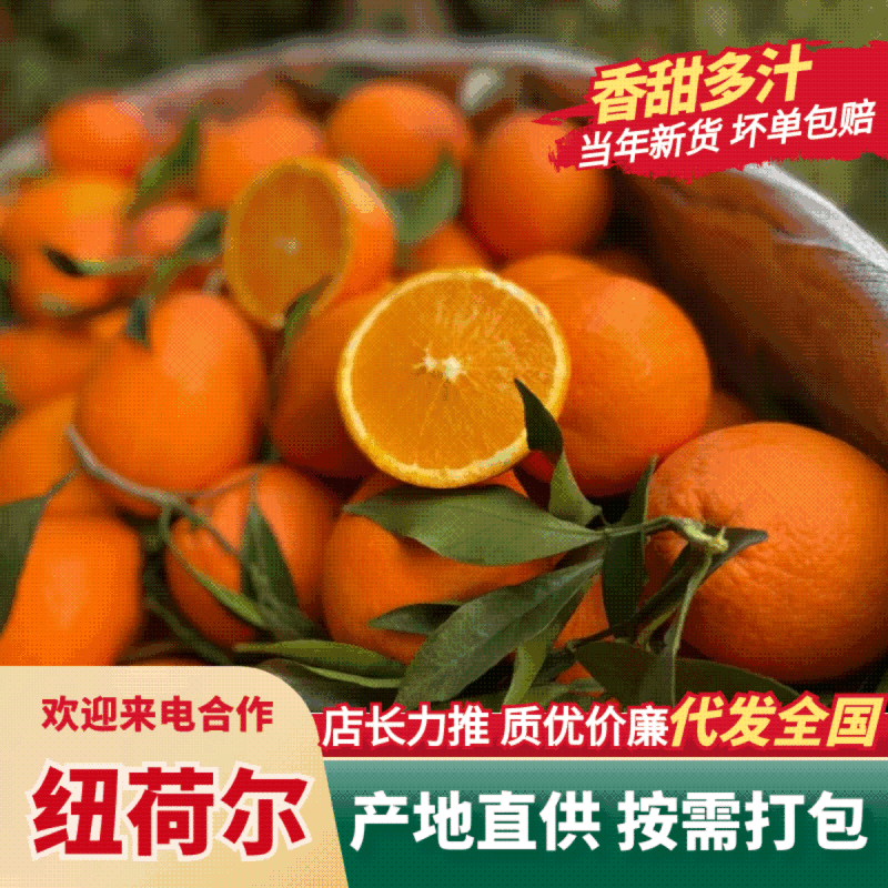 湖北秭归纽荷尔脐橙口感纯甜，入口化渣，产地直发一手货源