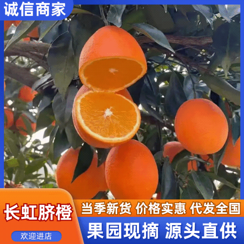 秭归长虹脐橙，皮薄多汁，产地一手鲜货源。