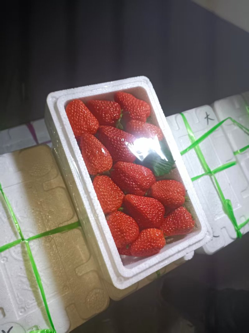 优选红颜草莓大量发货质量保证价格合理欢迎进店联系