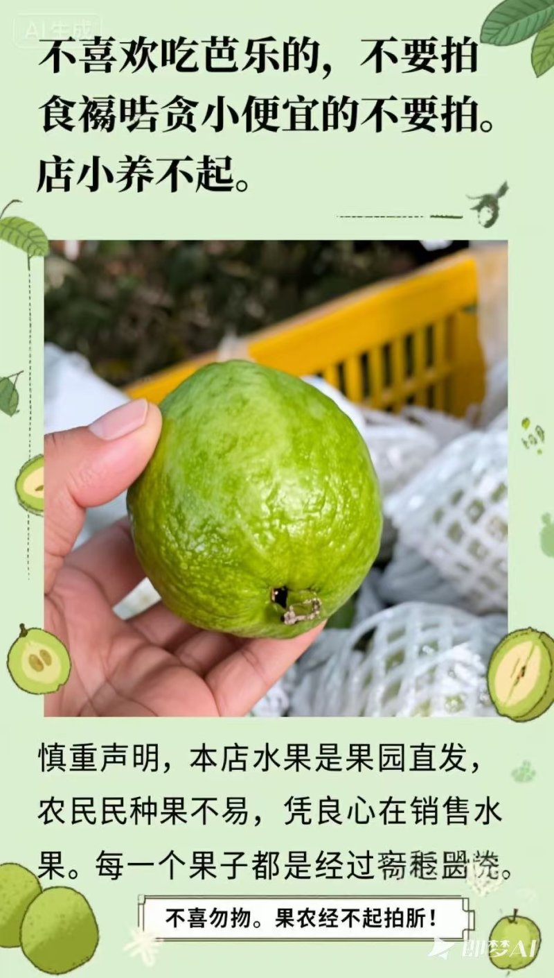 大宗批发芭乐当季鲜果，带箱50斤起批。1000斤