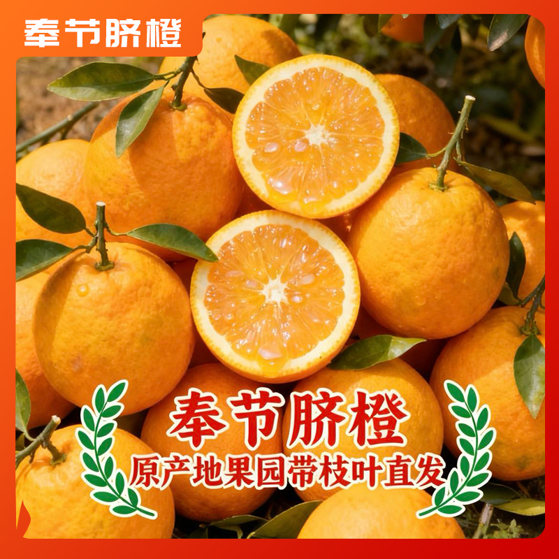 正宗重庆奉节脐橙橙子应季水果产地直发新鲜采摘