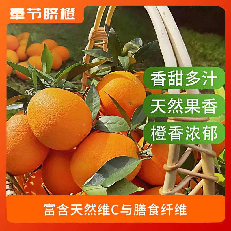 正宗重庆奉节脐橙橙子应季水果产地直发新鲜采摘