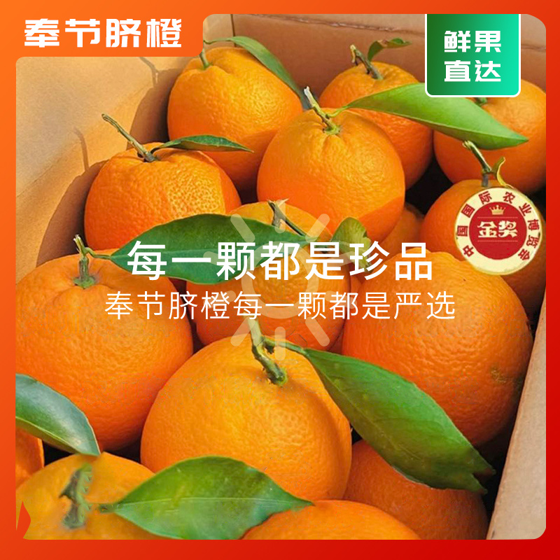 正宗重庆奉节脐橙橙子应季水果产地直发新鲜采摘