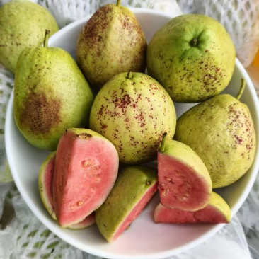 红心芭乐花皮果产地一手货源（量大从优）对接批发榨汁厂欢迎电联