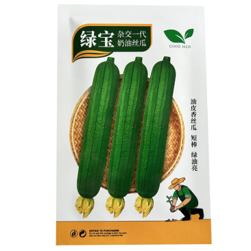 绿宝奶油丝瓜种子油亮型抗寒耐热节节有瓜基地专用型