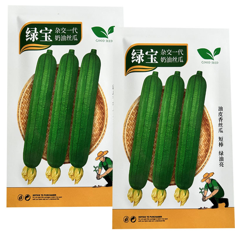 绿宝奶油丝瓜种子油亮型抗寒耐热节节有瓜基地专用型