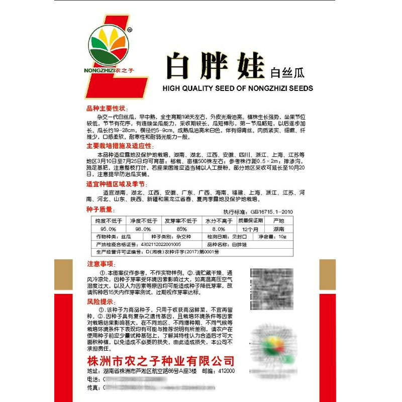 白胖娃肉丝瓜种子早熟奶油香丝瓜短棒形节节有瓜肉紧实