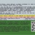日本甜宝甜瓜种子早熟薄皮大果浓香甜脆农家大田春秋播种