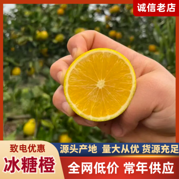 麻阳冰糖橙当季发货、供应电商、口感好、诚信经营