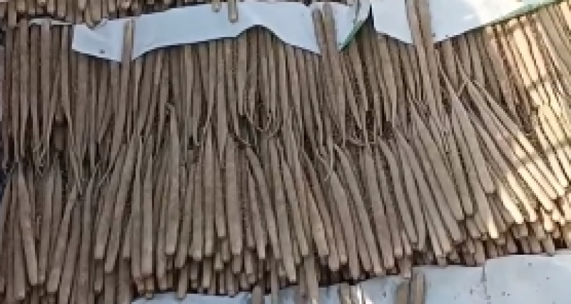 双棒山药通货大量有货一手货源欢迎选购