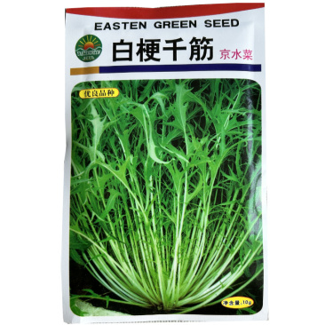 京水菜种子水晶菜白梗千筋菜生长快抗寒耐抽苔特菜种