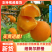 湖北精品橙子/纽荷尔脐橙/可一件代发/电商团购/量大价优