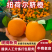 湖北精品橙子/纽荷尔脐橙/可一件代发/电商团购/量大价优