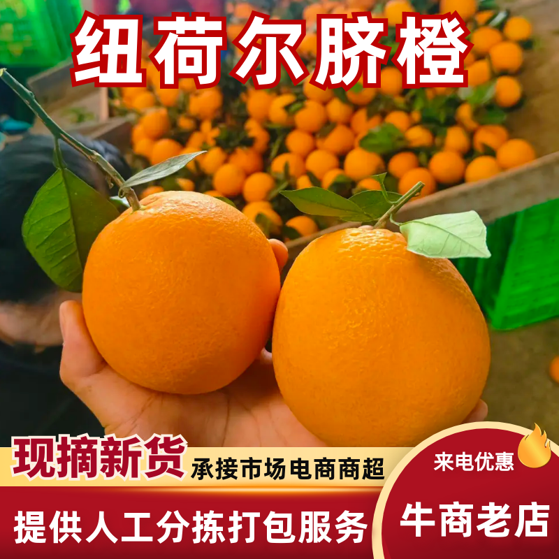 湖北精品橙子/纽荷尔脐橙/可一件代发/电商团购/量大价优