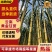 《云南甘蔗》黄金甘蔗/承接电商/一件代发/欢迎来电合作