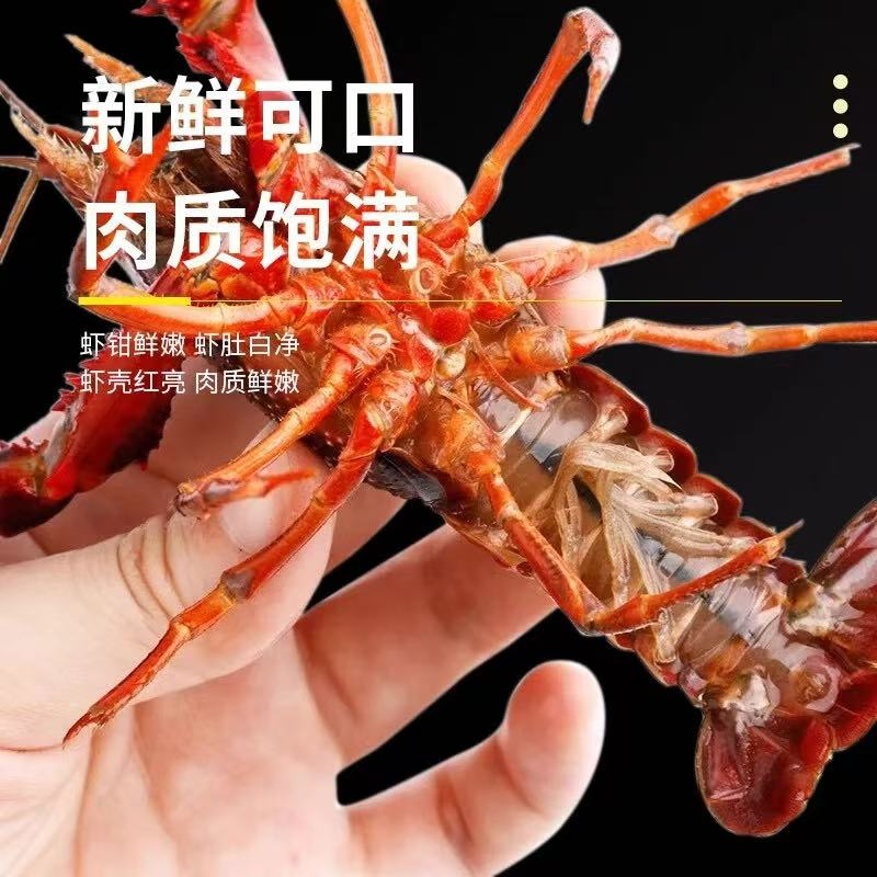 小龙虾潜江小龙虾新鲜可口肉质饱满价格实惠运输便利基地直发