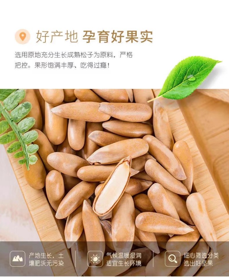 巴西松子新货手剥松子阿富汗大颗粒坚果长粒零食年货
