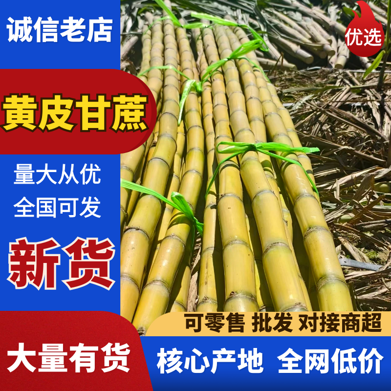 （热卖）云南黄皮甘蔗黄金甘蔗清甜可口价格公道质量好走货快