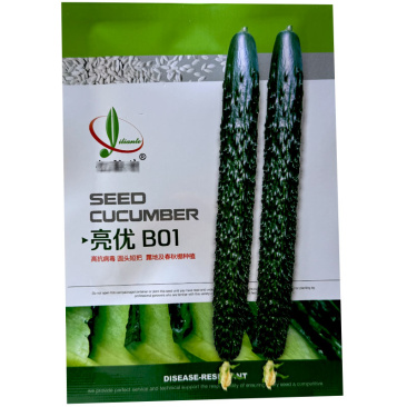 亮优B01强雌油亮型品种密刺把短肉绿产量高大田基地品