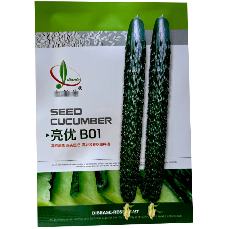 亮优B01强雌油亮型品种密刺把短肉绿产量高大田基地品