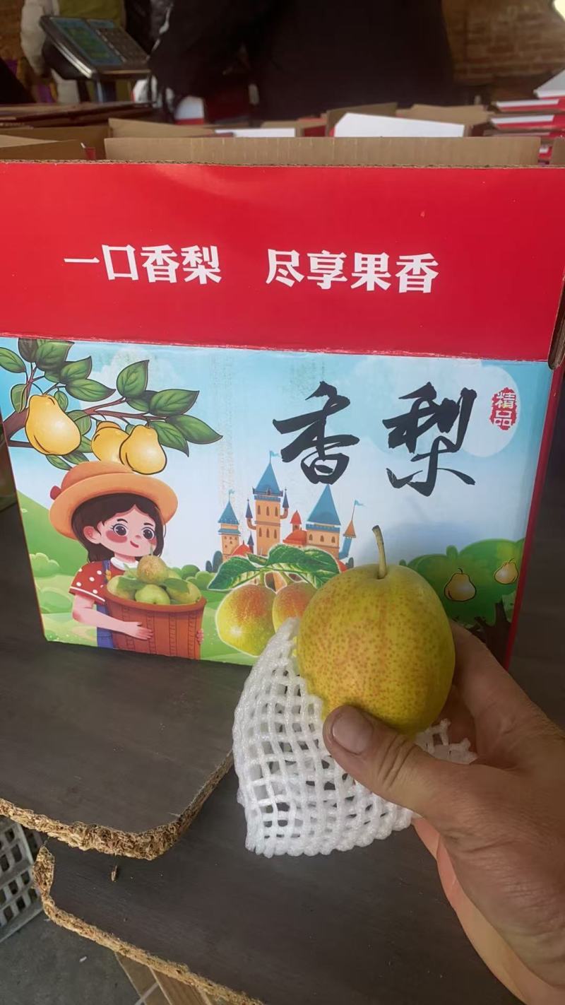【河北香梨】新梨七号，一口香梨，尽享果香，诚信经营