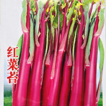 湖北武汉新鲜蔬菜正宗红菜苔菜芯