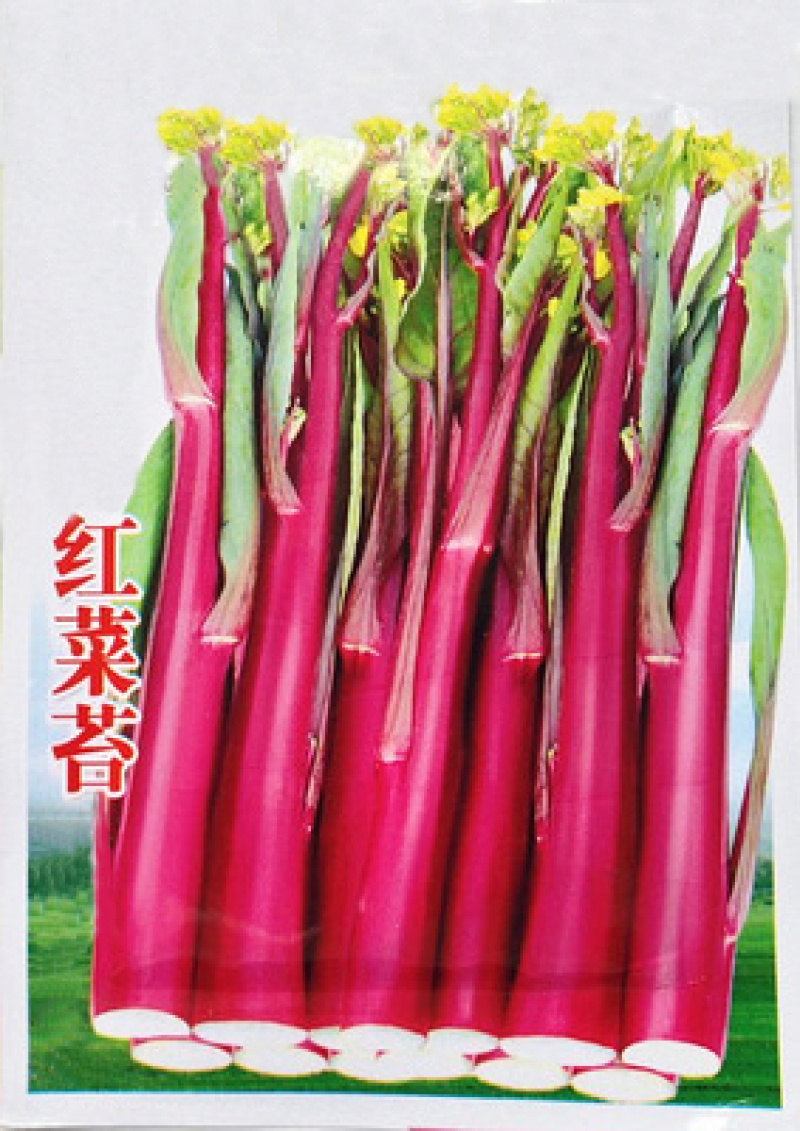 湖北武汉新鲜蔬菜正宗红菜苔菜芯