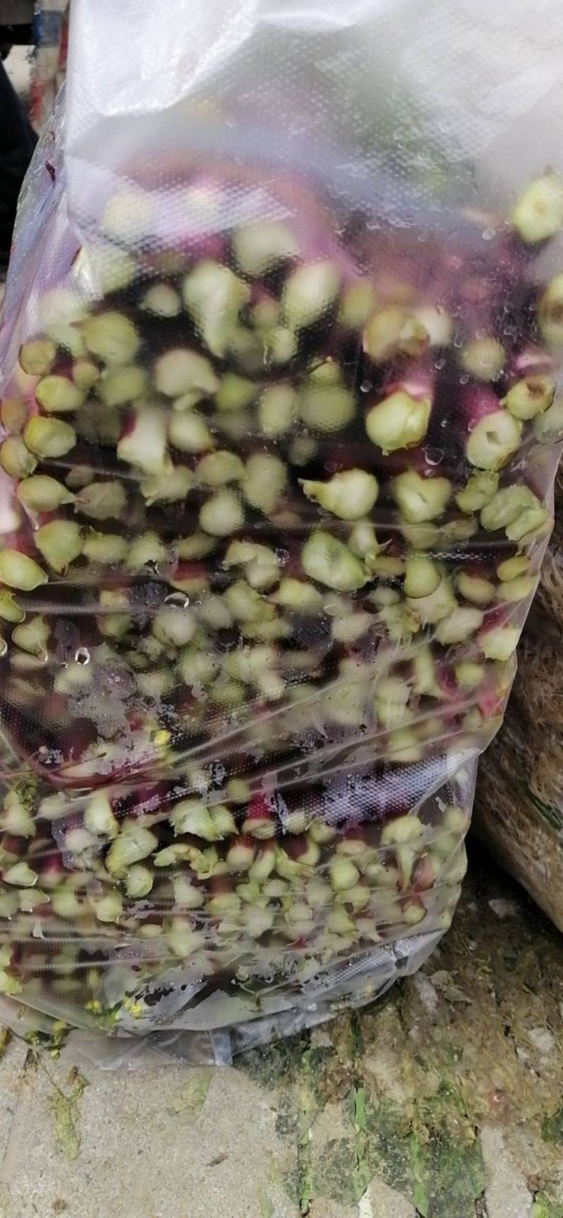 湖北武汉新鲜蔬菜正宗红菜苔菜芯
