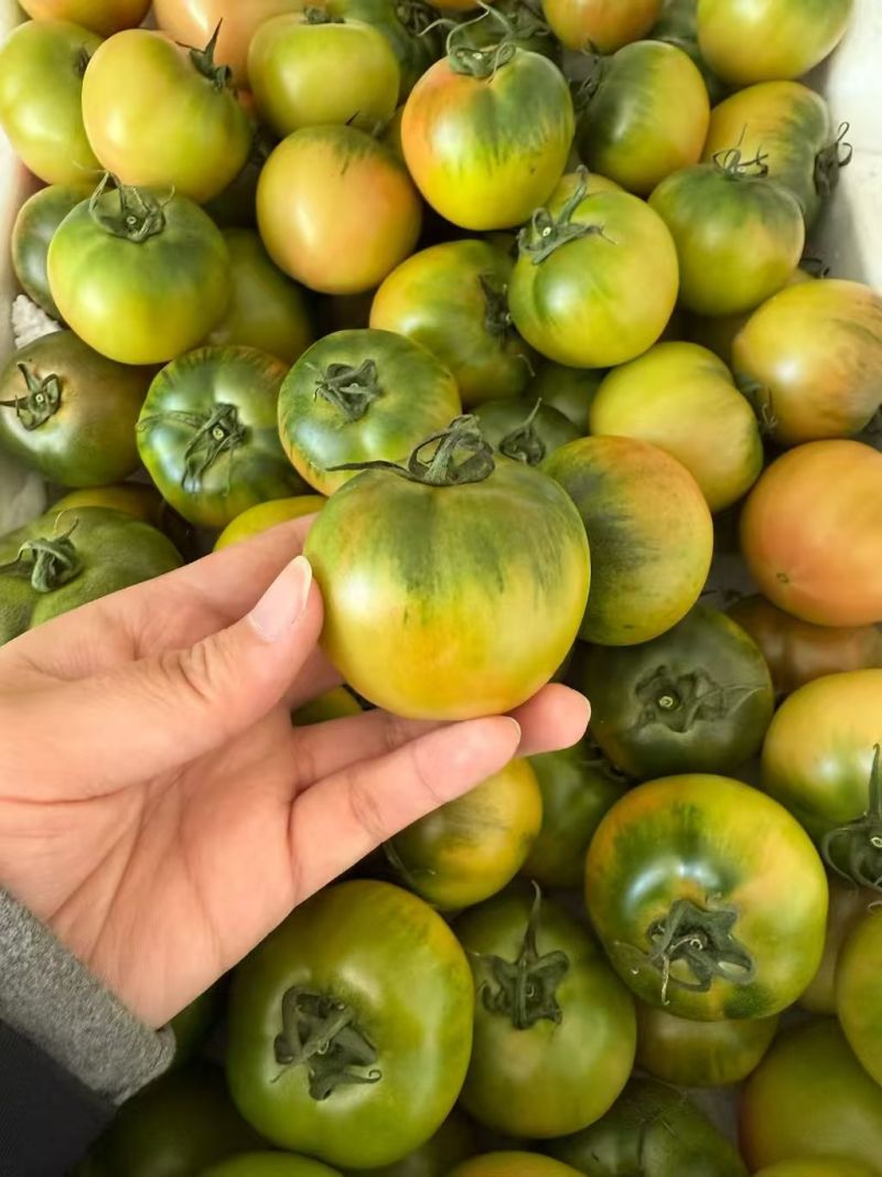 铁皮柿子草莓西红柿对接电商市场商超可视频看货
