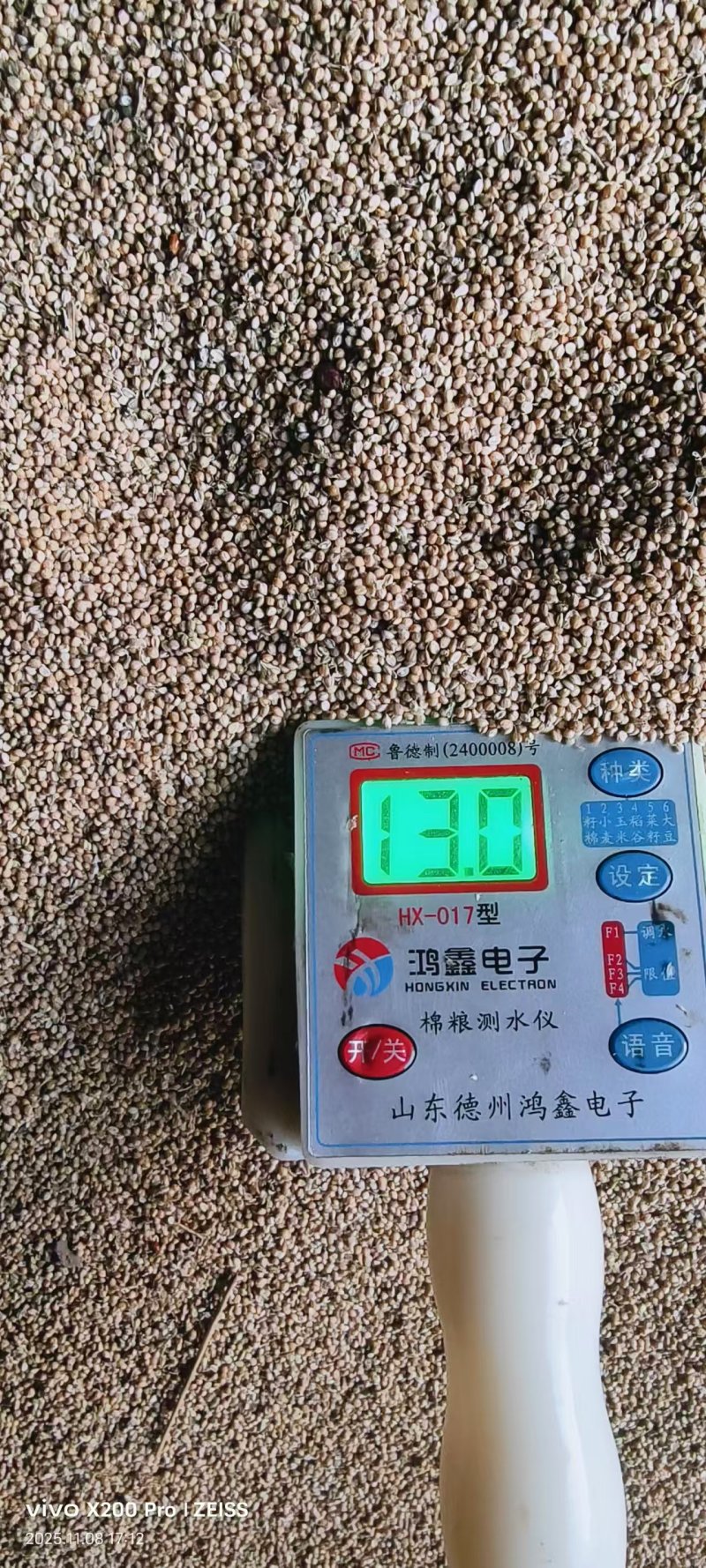 精品晋谷21号谷子质量保证货源充足厂家直发对接全国