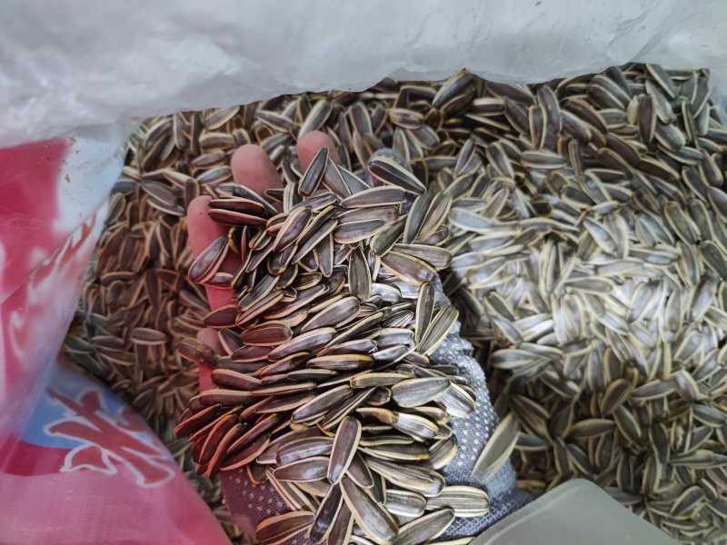 【火爆】原味瓜子各大电商平台一件代发批量拿货