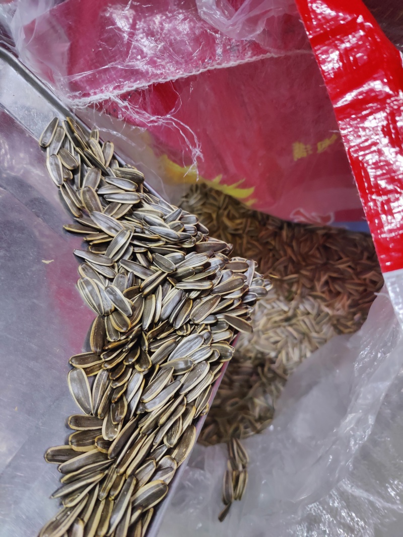 【火爆】原味瓜子各大电商平台一件代发批量拿货