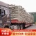 菲律宾未脱盐免泡发袋装厂家直发品种齐全量大优惠