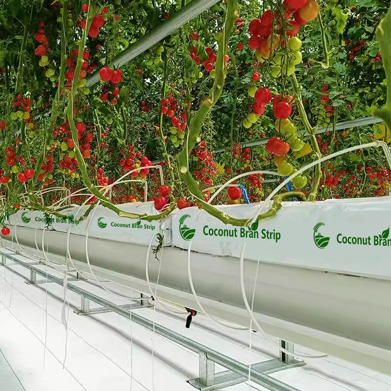 有机无土栽培立体栽培条袋无土栽培蔬菜番茄西红柿椰糠基质种