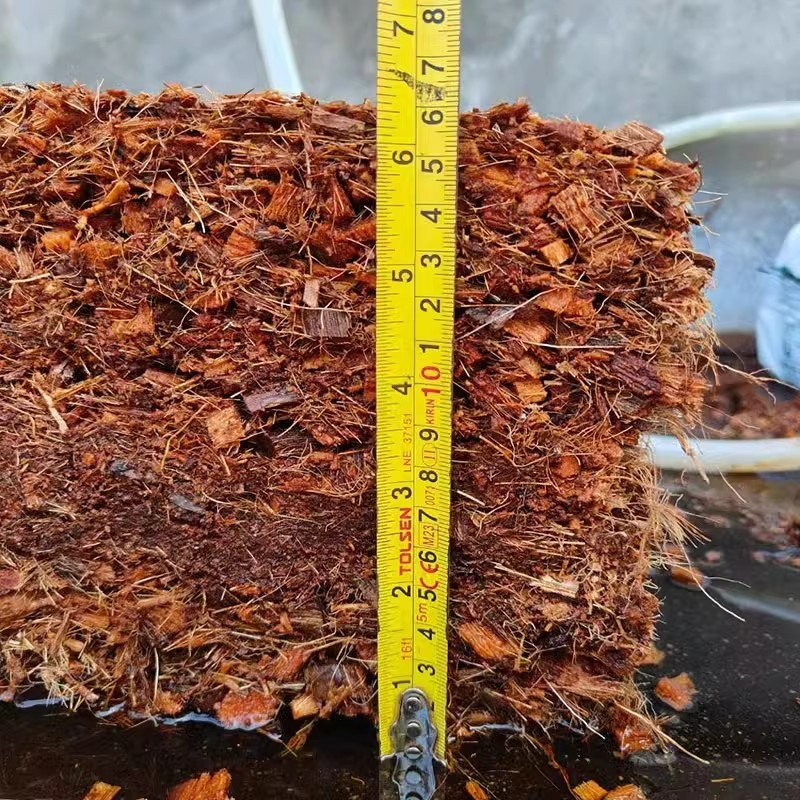 有机无土栽培立体栽培条袋无土栽培蔬菜番茄西红柿椰糠基质种