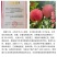 湖景升级版霞晖10号桃苗新品种软溶质高