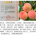 紫金玉脆苏丽硬肉脆桃7月sh硬脆甜不软毛水蜜桃苗