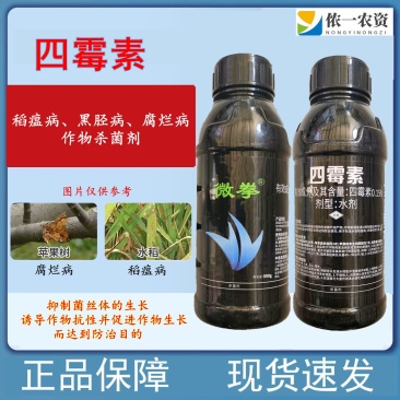 四霉素猕猴桃溃疡芒果角斑番茄溃疡真细菌病害防治