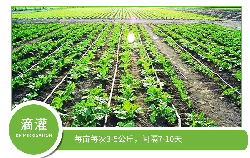 磷酸二氢钾果树蔬菜专用保花保果调节生长