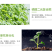 磷酸二氢钾果树蔬菜专用保花保果调节生长